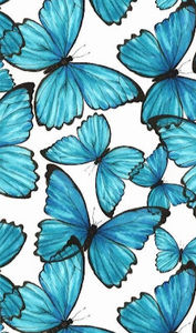 Meet your Posher, Luisana